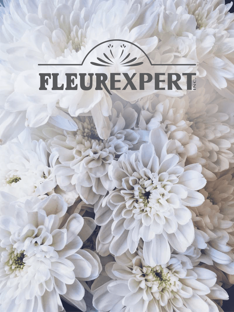 Fleurexpert : Managing 3 Sister Companies and One ERP on a Single Digital Platform