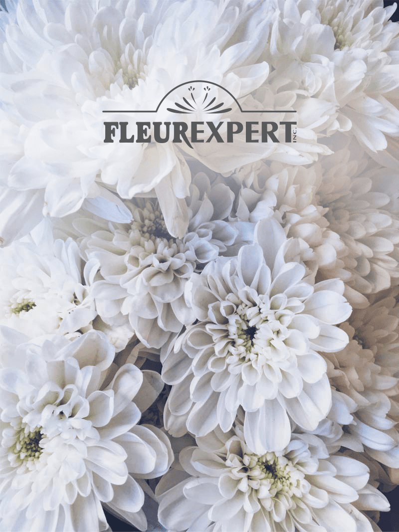 Fleurexpert centralise les opérations de ses 3 compagnies soeurs grâce à un ERP et une plateforme Web développée sur mesure.